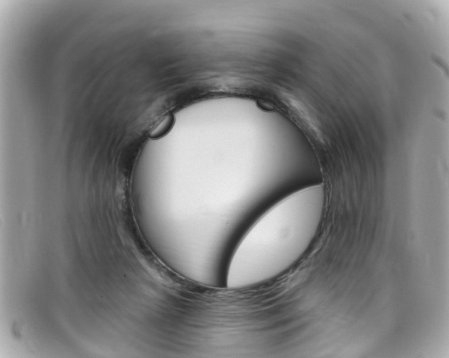 X0000099320265200805020759