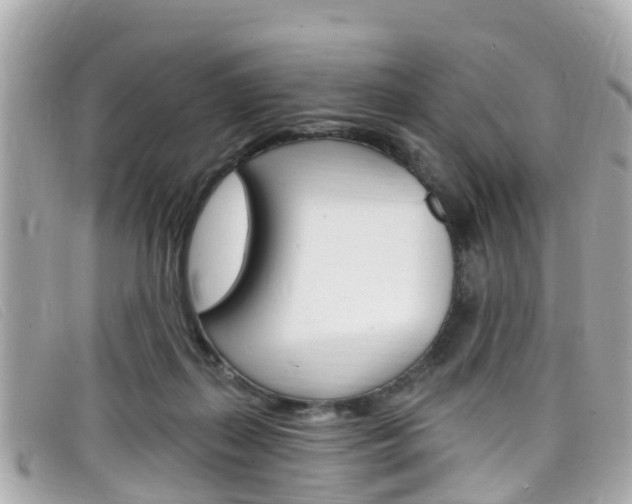 X0000099320267200805020759