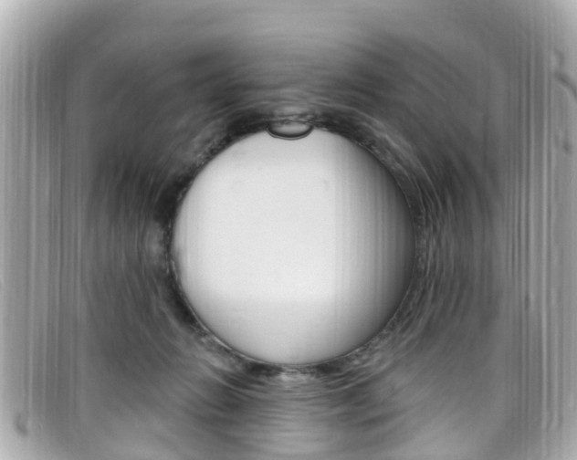 X0000099320270200805020759
