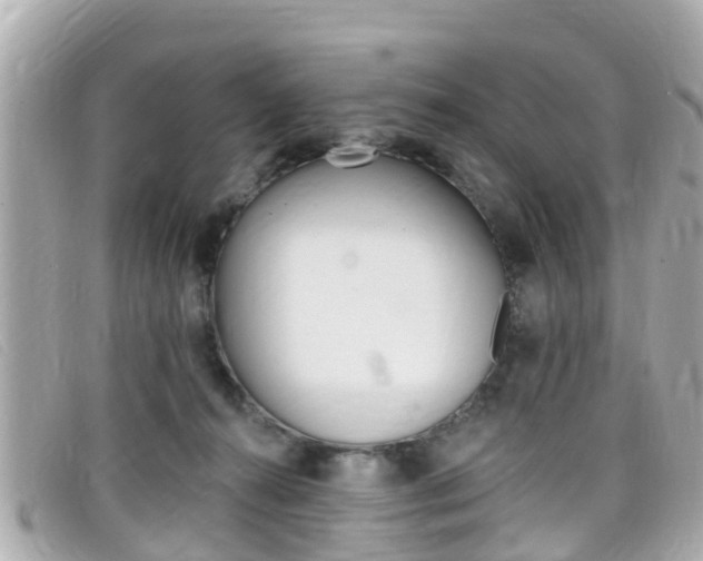 X0000099320272200805020759