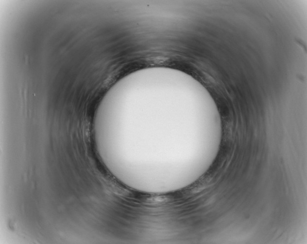 X0000099320274200805020759
