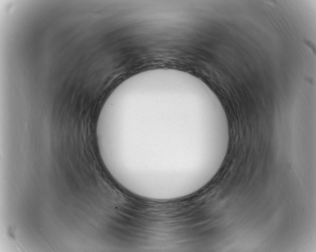 X0000099320276200805020759