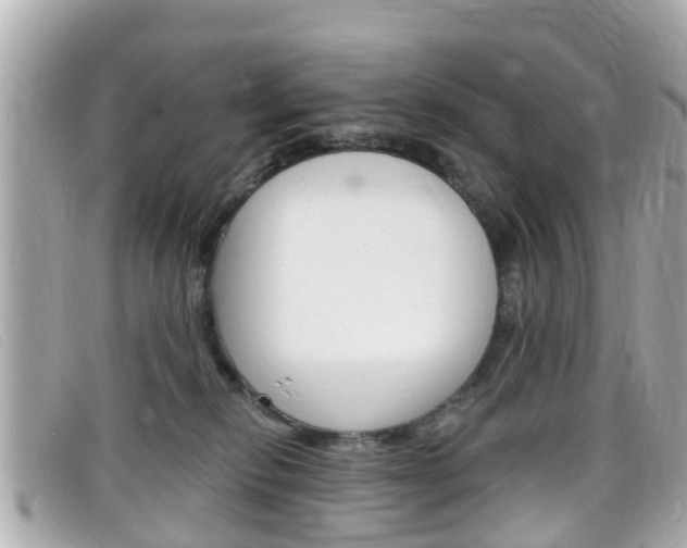 X0000099320278200805020759