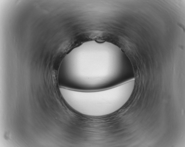 X0000099320280200805020759