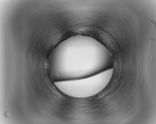 X0000099320284200805020759