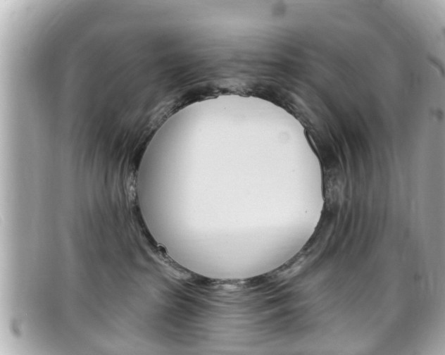 X0000099320285200805020759