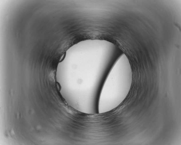 X0000099320286200805020759