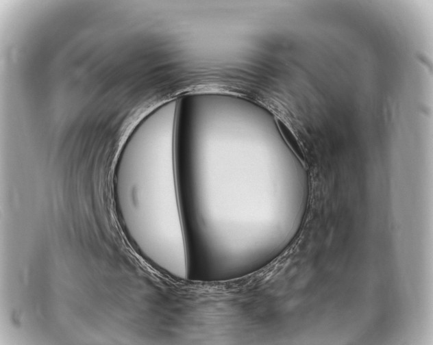 X0000099320289200805020759