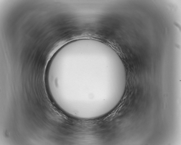 X0000099320292200805020759