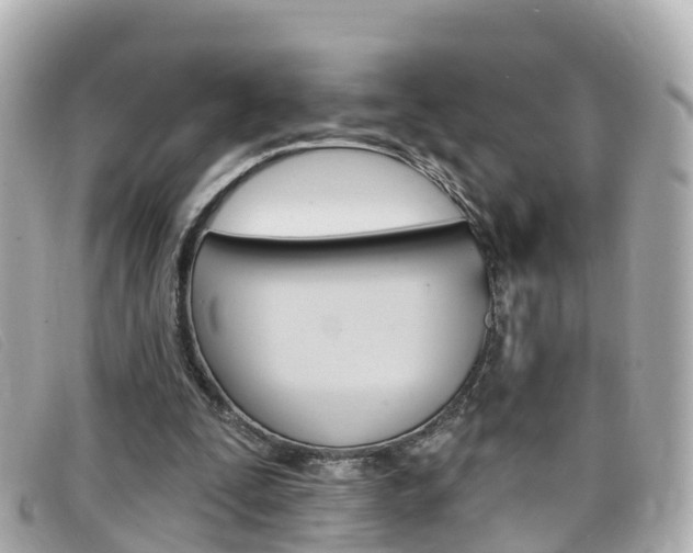 X0000099320295200805020759