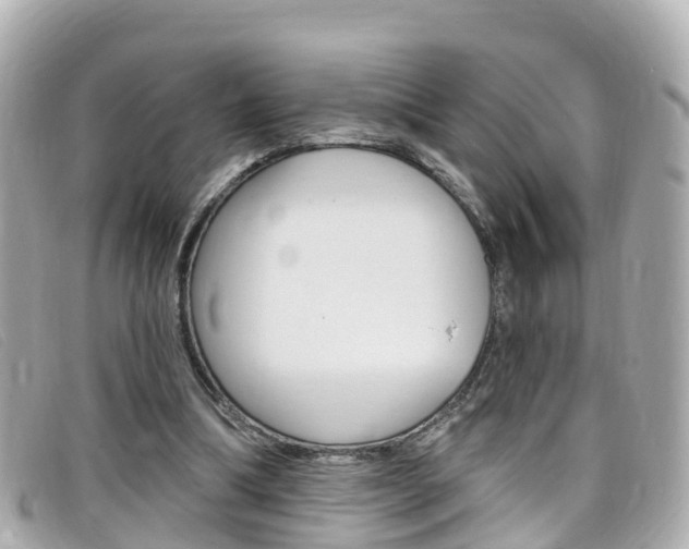 X0000099320298200805020759