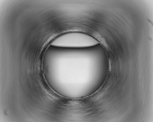 X0000099320300200805020759