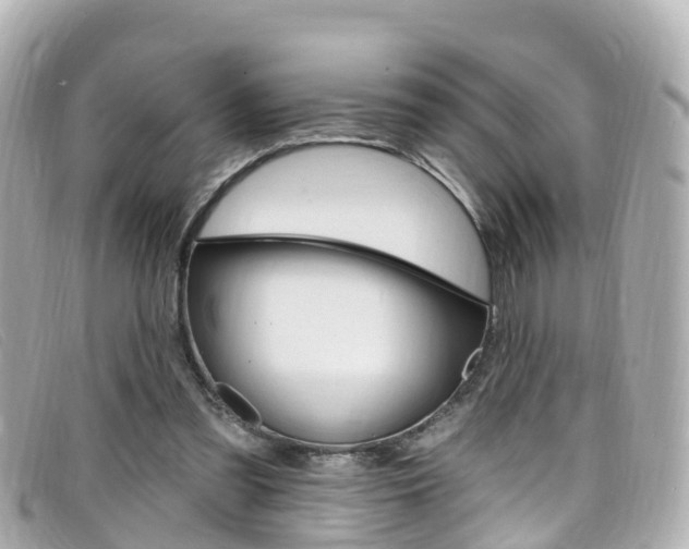 X0000099320301200805020759