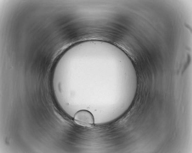 X0000099320302200805020759