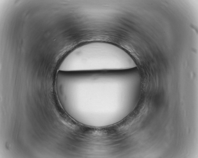 X0000099320303200805020759