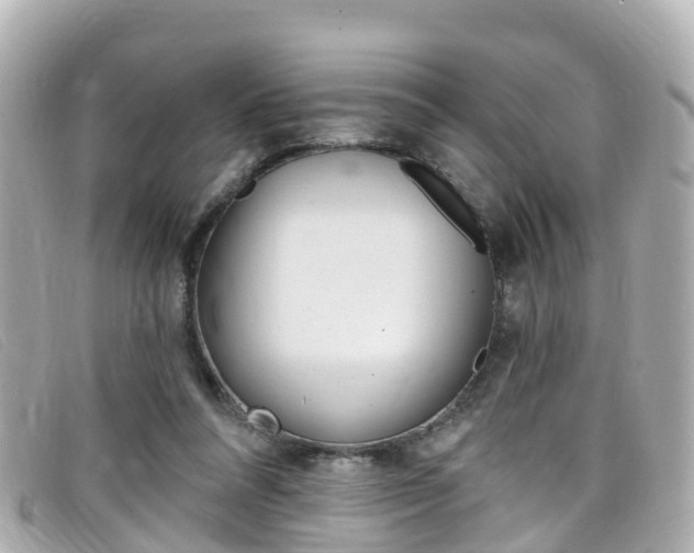 X0000099320304200805020759