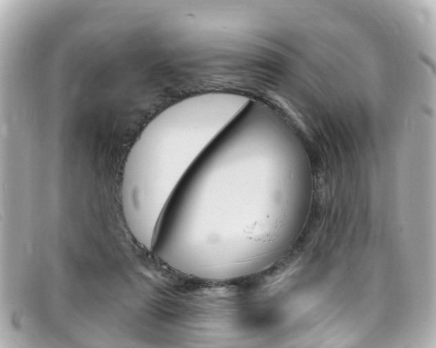 X0000099320307200805020759