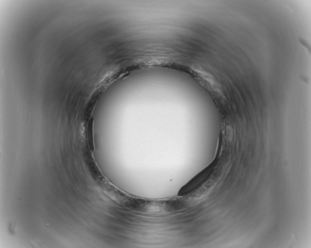 X0000099320308200805020759