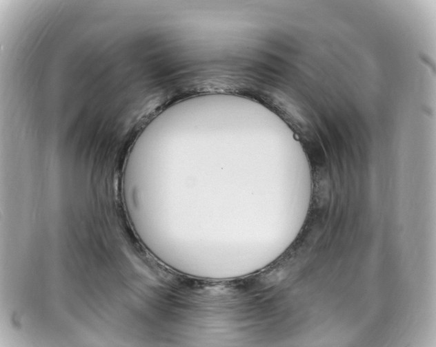 X0000099320310200805020759