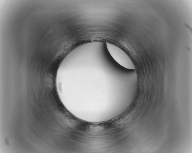 X0000099320311200805020759