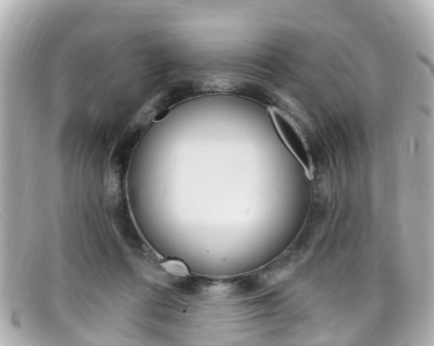 X0000099320312200805020759
