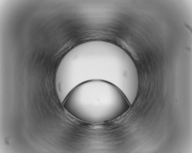 X0000099320313200805020759