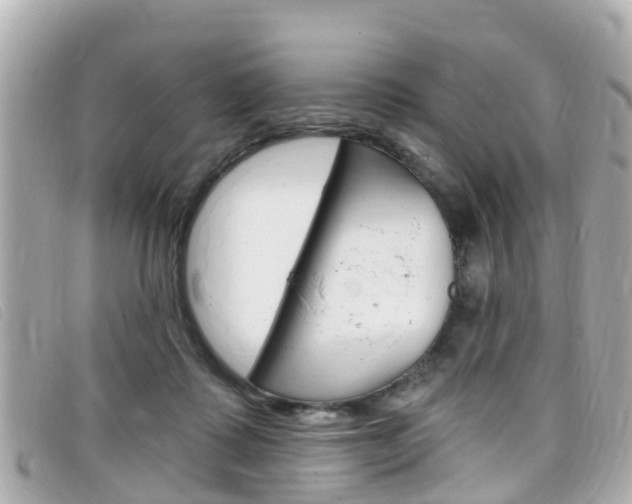 X0000099320315200805020758