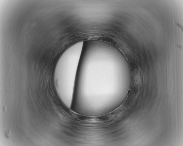 X0000099320316200805020758