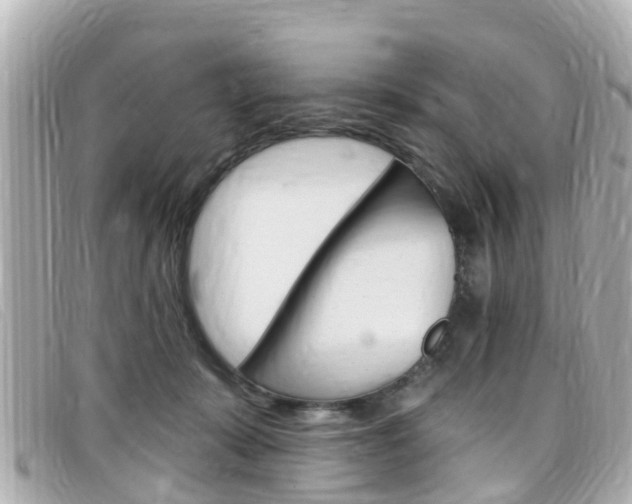 X0000099320319200805020758
