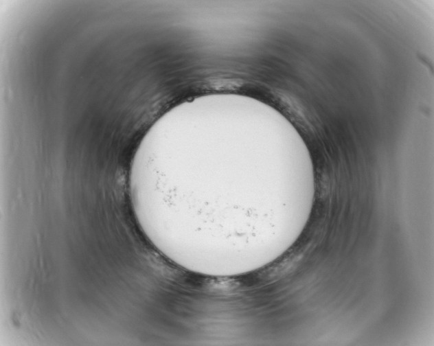 X0000099320321200805020758