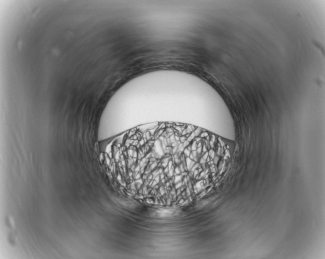 X0000099320323200805020758