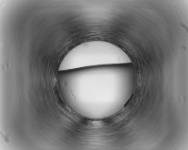 X0000099320324200805020758