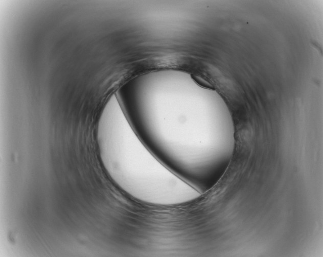 X0000099320325200805020758
