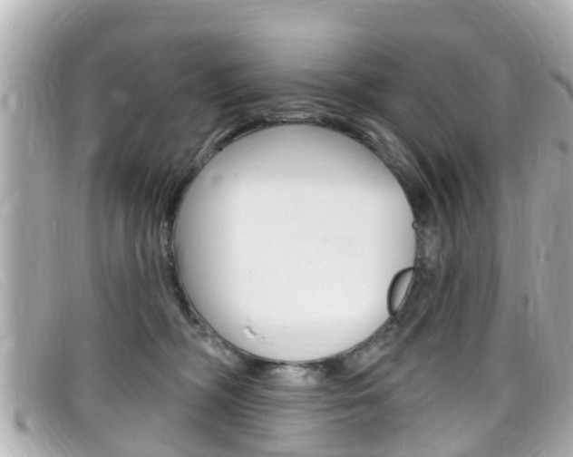X0000099320326200805020758