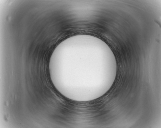 X0000099320327200805020758
