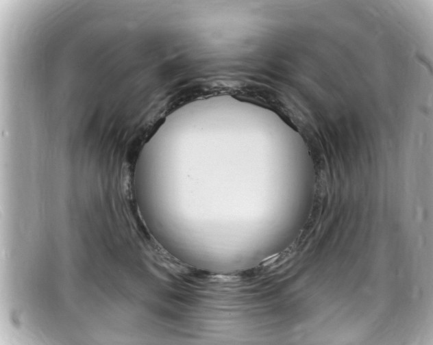X0000099320328200805020758