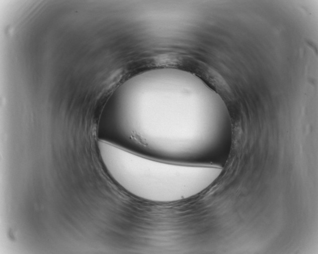 X0000099320329200805020758