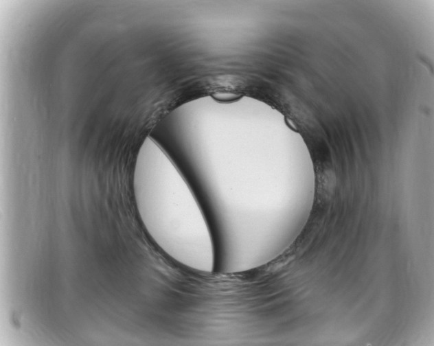 X0000099320331200805020758
