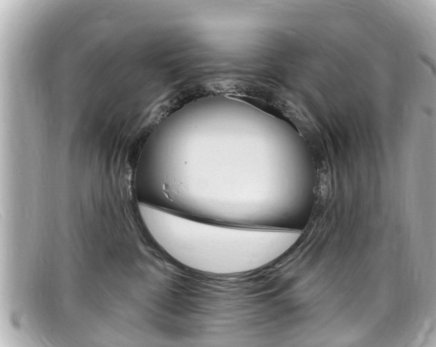 X0000099320332200805020758