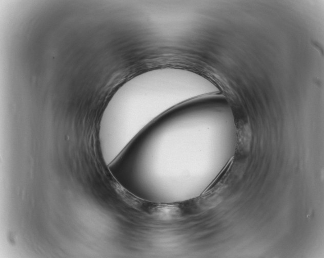 X0000099320333200805020758