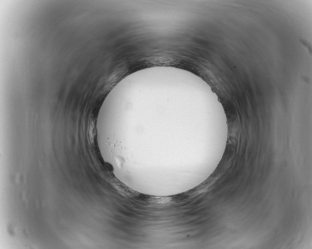 X0000099320334200805020758