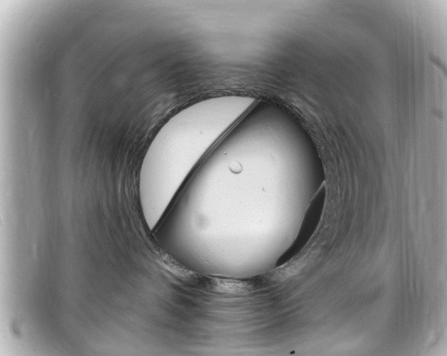 X0000099320336200805020758
