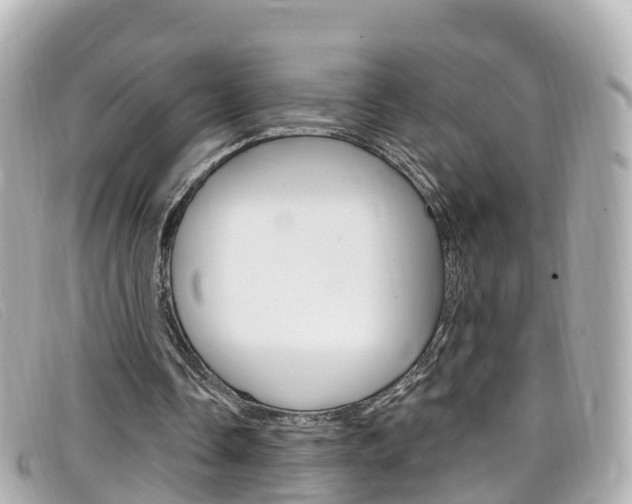 X0000099320338200805020758