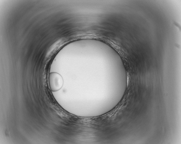 X0000099320339200805020758
