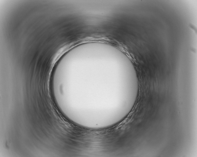 X0000099320340200805020758