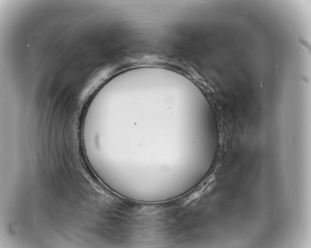 X0000099320341200805020758