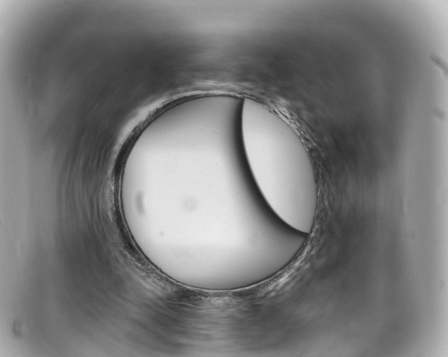 X0000099320342200805020758