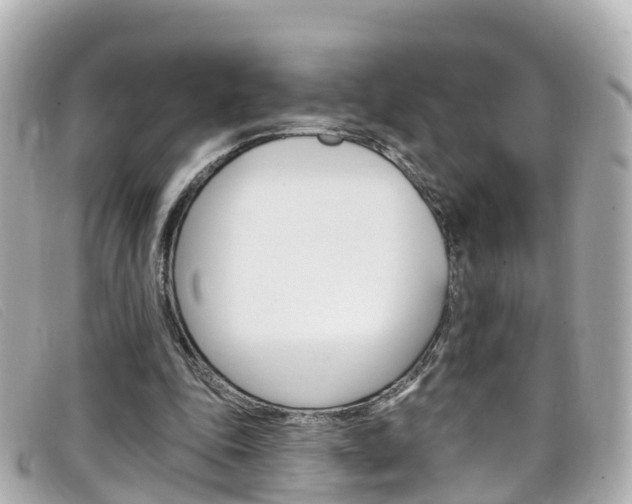 X0000099320343200805020758