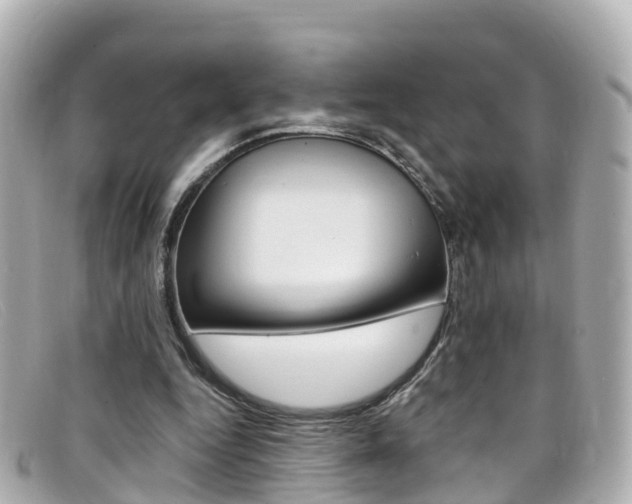 X0000099320344200805020758