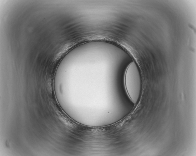 X0000099320345200805020758